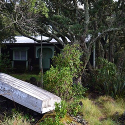 2017-03 New Zealand/Rangitoto/DSC_0105.JPG